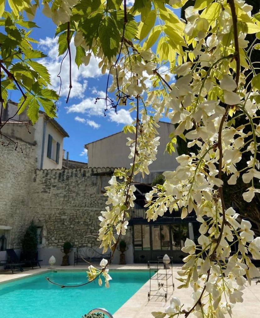 Hotel Gounod Saint-Rémy-de-Provence 外观 照片